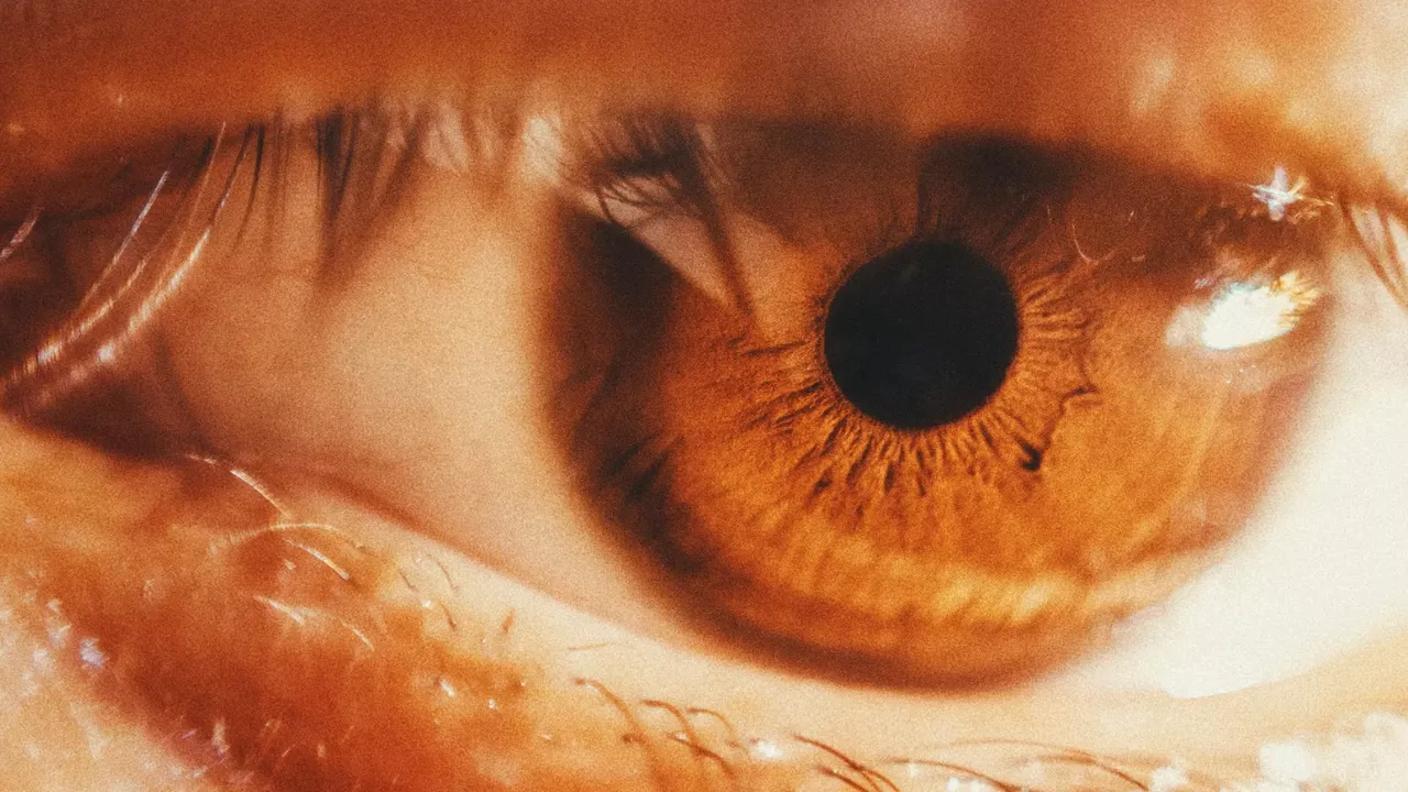 Médicos alertam para duas doenças que são as principais causas de cegueira e perda de visão em Portugal